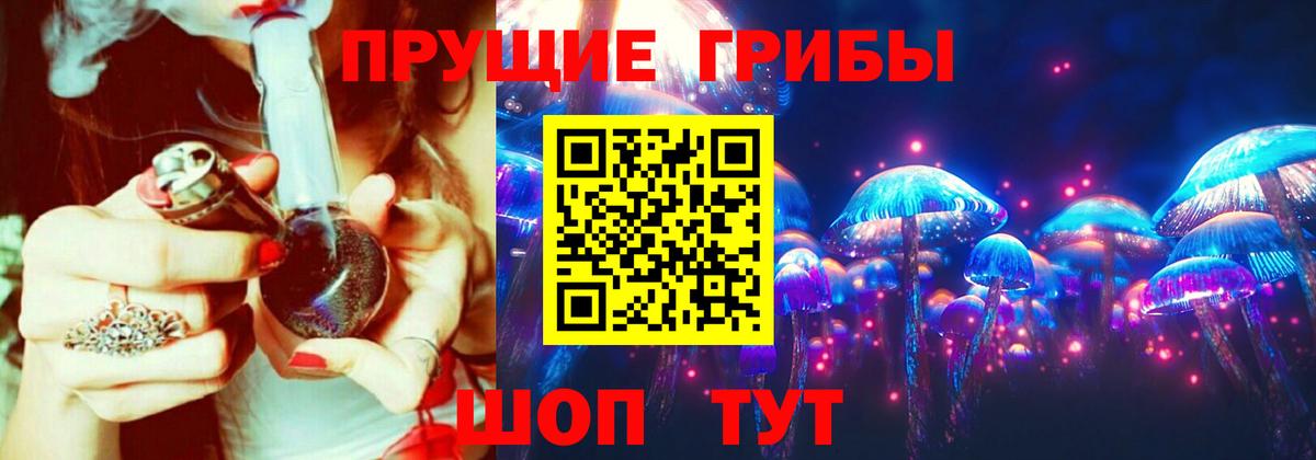 Дмитров  Псилоцибиновые грибы прущие грибы  Вход с VPN 