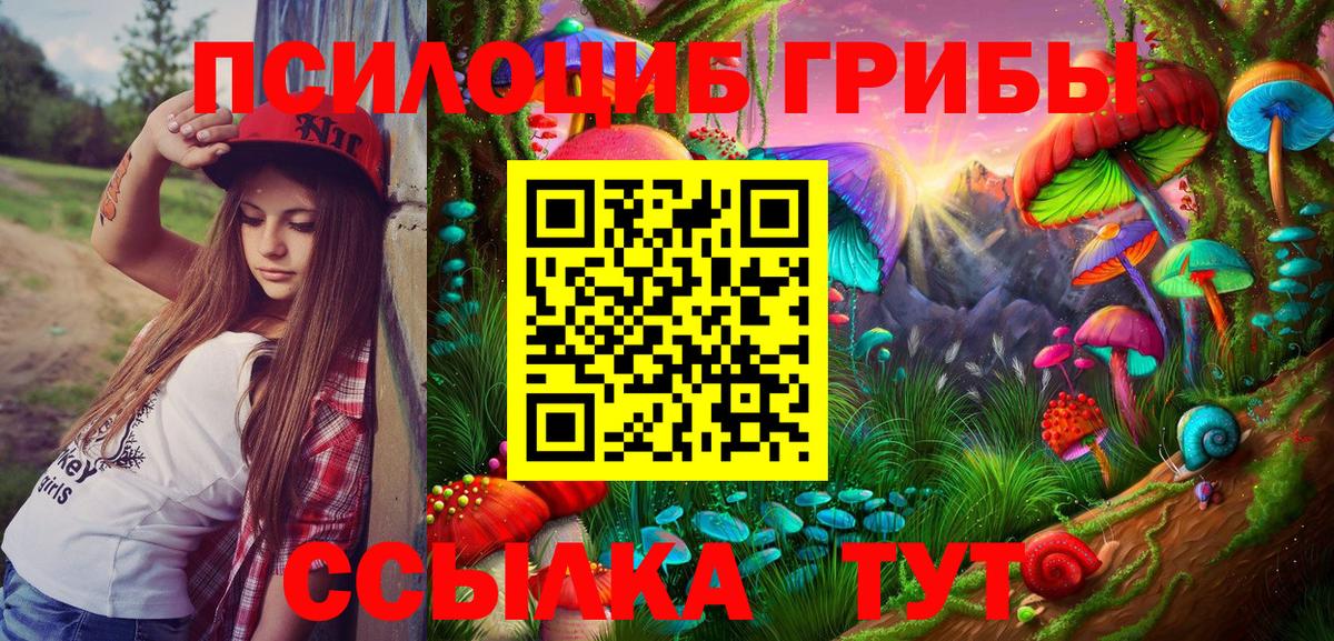 Галлюциногенные грибы MAGIC MUSHROOMS Дмитров